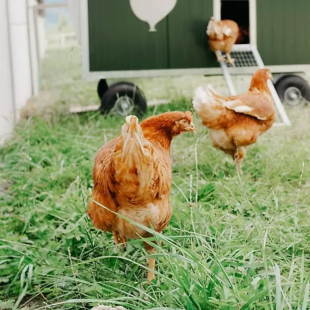 Bed and Breakfast Roudenhaff Guestfarm 3*