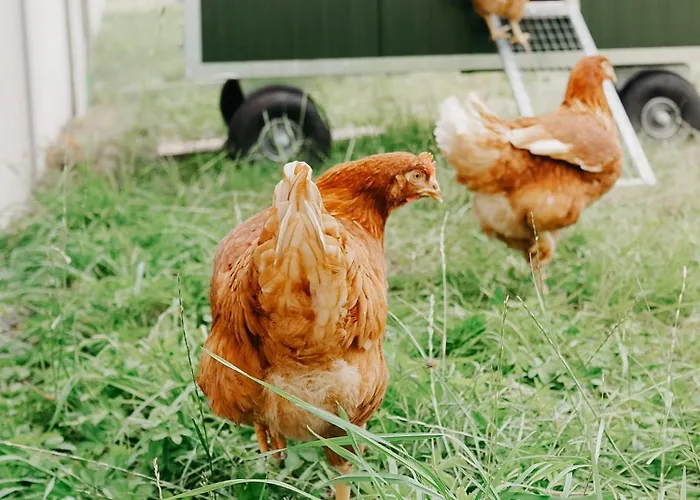 Bed & Breakfast Roudenhaff Guestfarm 3*